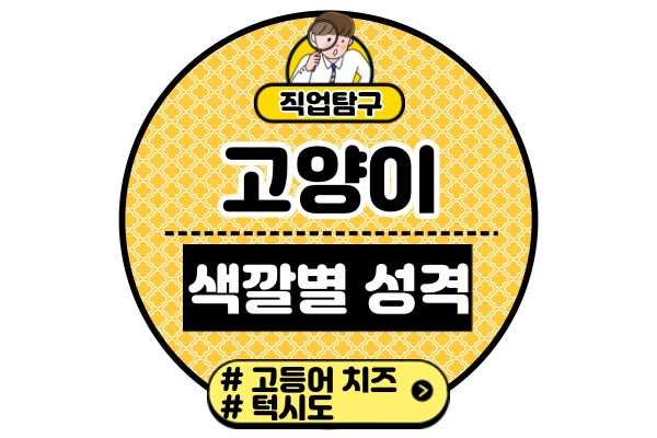 고양이-색깔별-성격고등어냥-치즈냥-턱시도냥